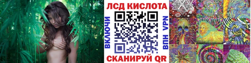 где продают   Ряжск  Наркотические марки 1500мкг 